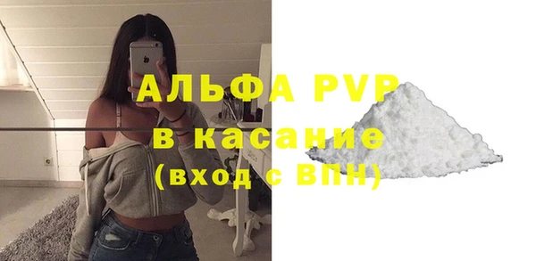 сатива Козельск