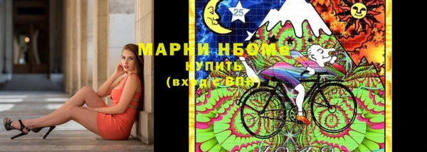 прущие грибы Козловка
