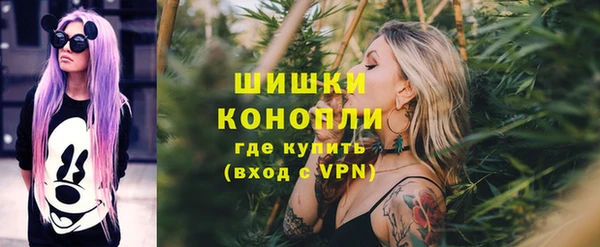 прущий лед Корсаков