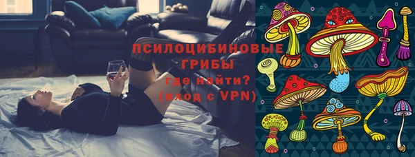 сатива Козельск