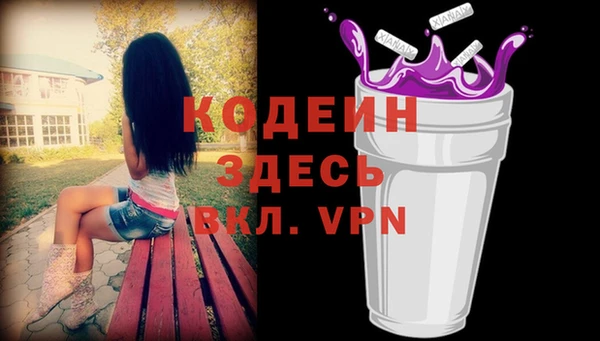 прущий лед Корсаков