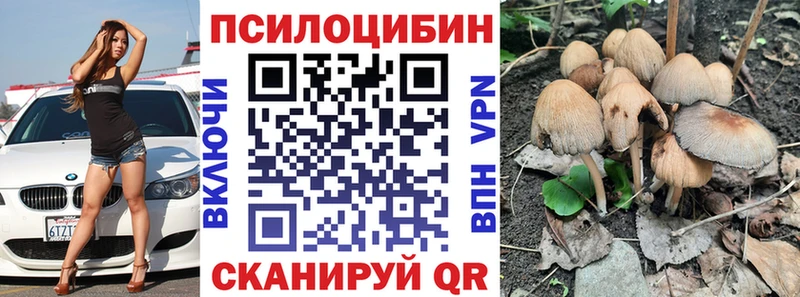Псилоцибиновые грибы GOLDEN TEACHER  Кропоткин 