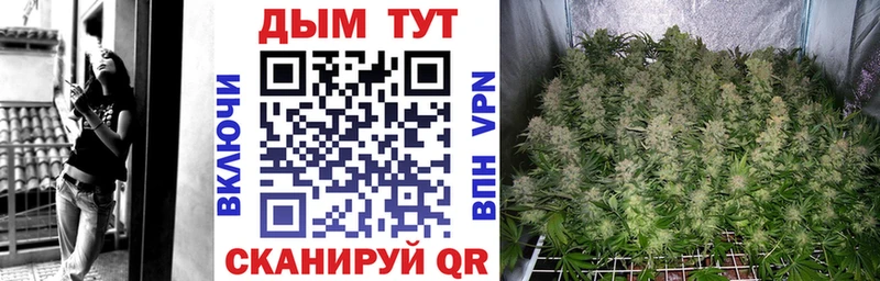 закладка  Кропоткин  Канабис VHQ 